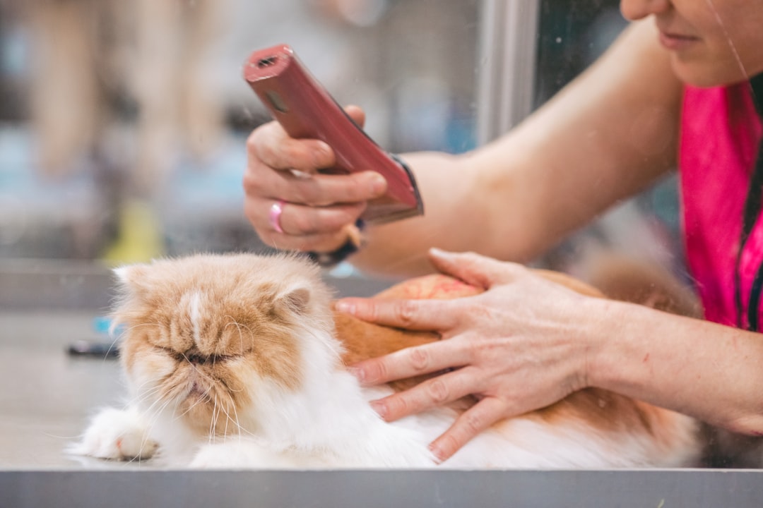 How Pet Groomers Fill Every Slot and Cut No-Shows by 60%